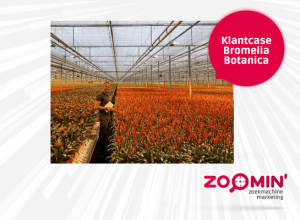 planten webshop seo case